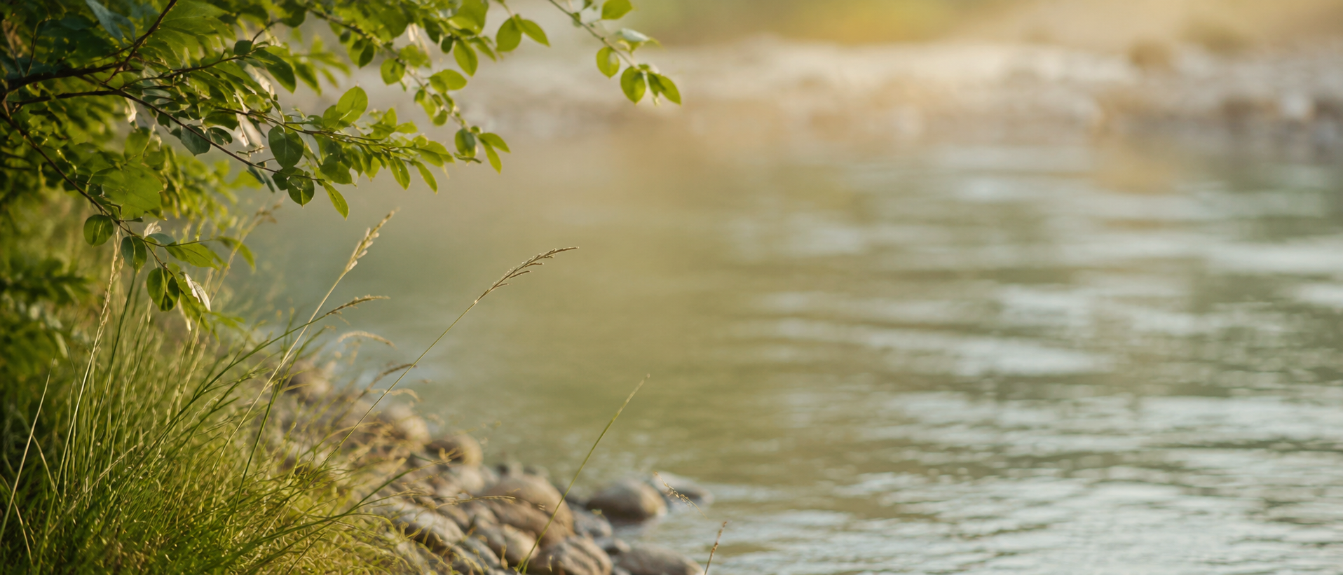calm riverbank view web design nature background image